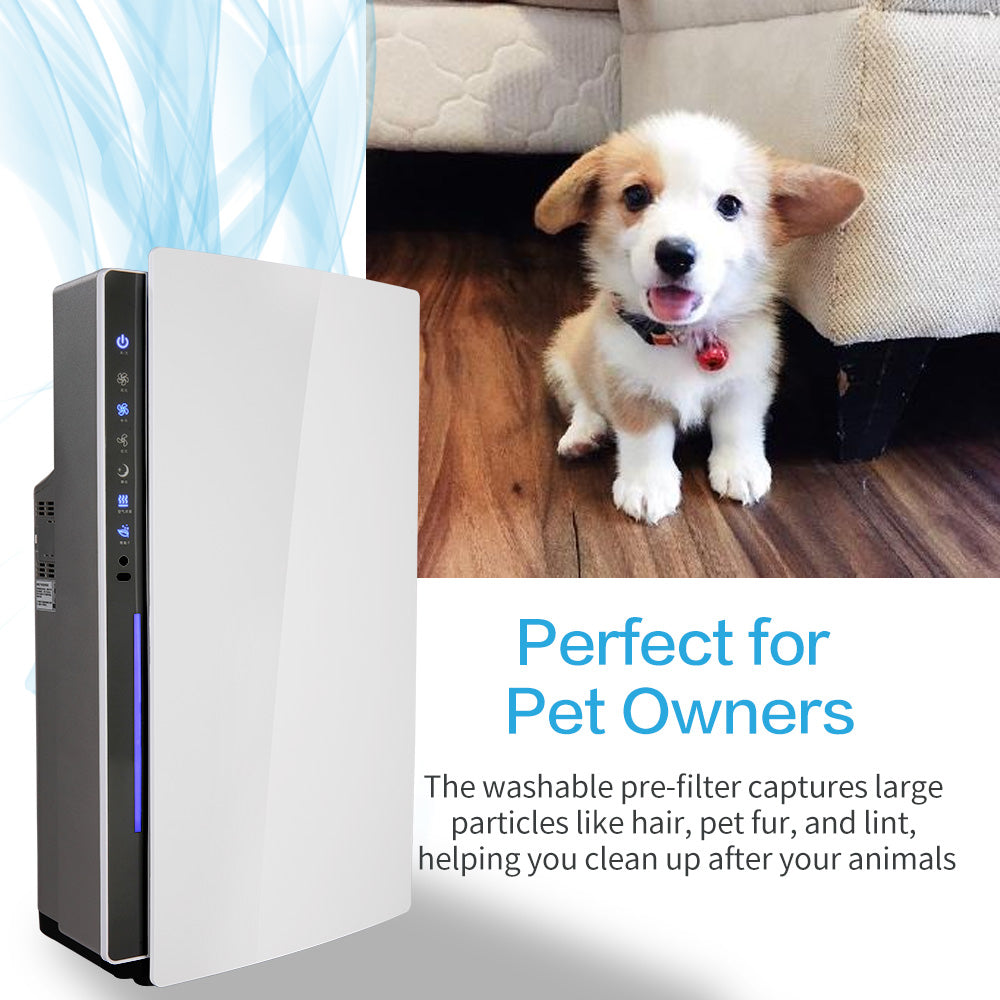 Shinco SAD-2401 Air Purifier - ZenDiffusers.com.au