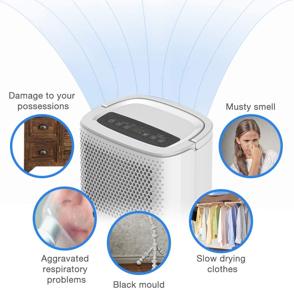 Shinco SDZ-10L Dehumidifier - ZenDiffusers.com.au